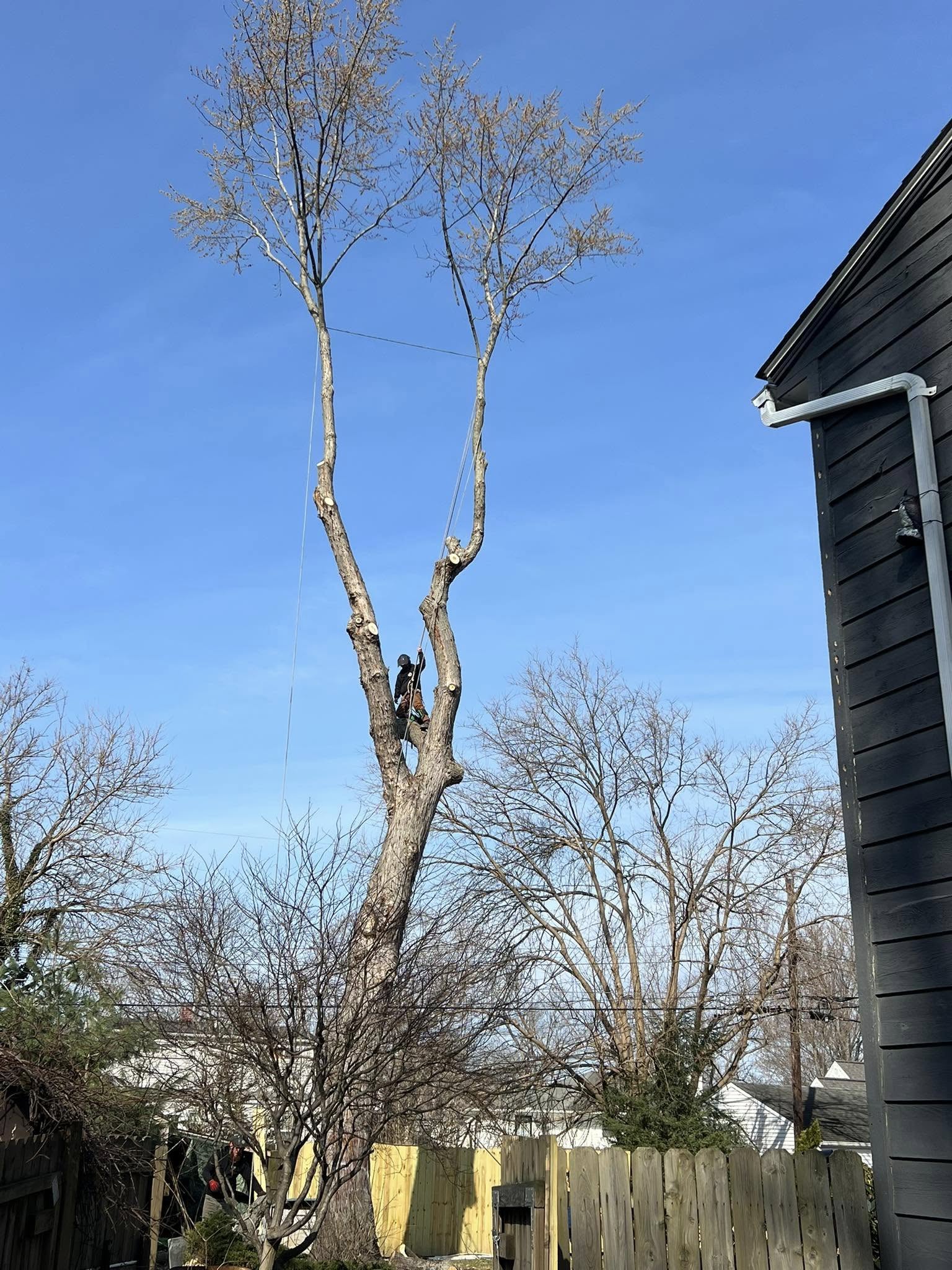 Lucca Landscaping & Construction LLC provides safe and efficient tree removal services to help protect your property and maintain a clean, open landscape. Whether due to damage, disease, or space planning, we handle each removal with precision and care. Our team is committed to completing every job with minimal disruption and maximum safety. You can count on us for professional service that gets the job done right.