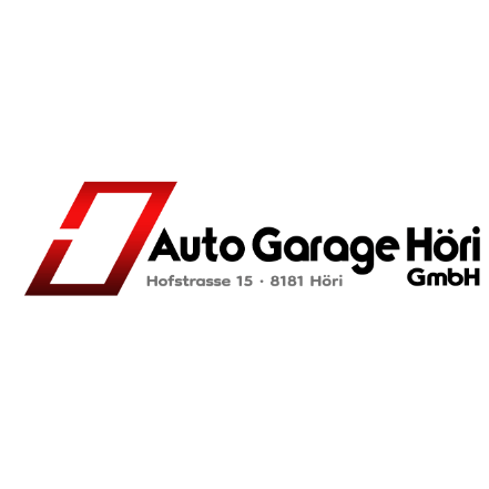 Auto Garage Höri GmbH in Höri