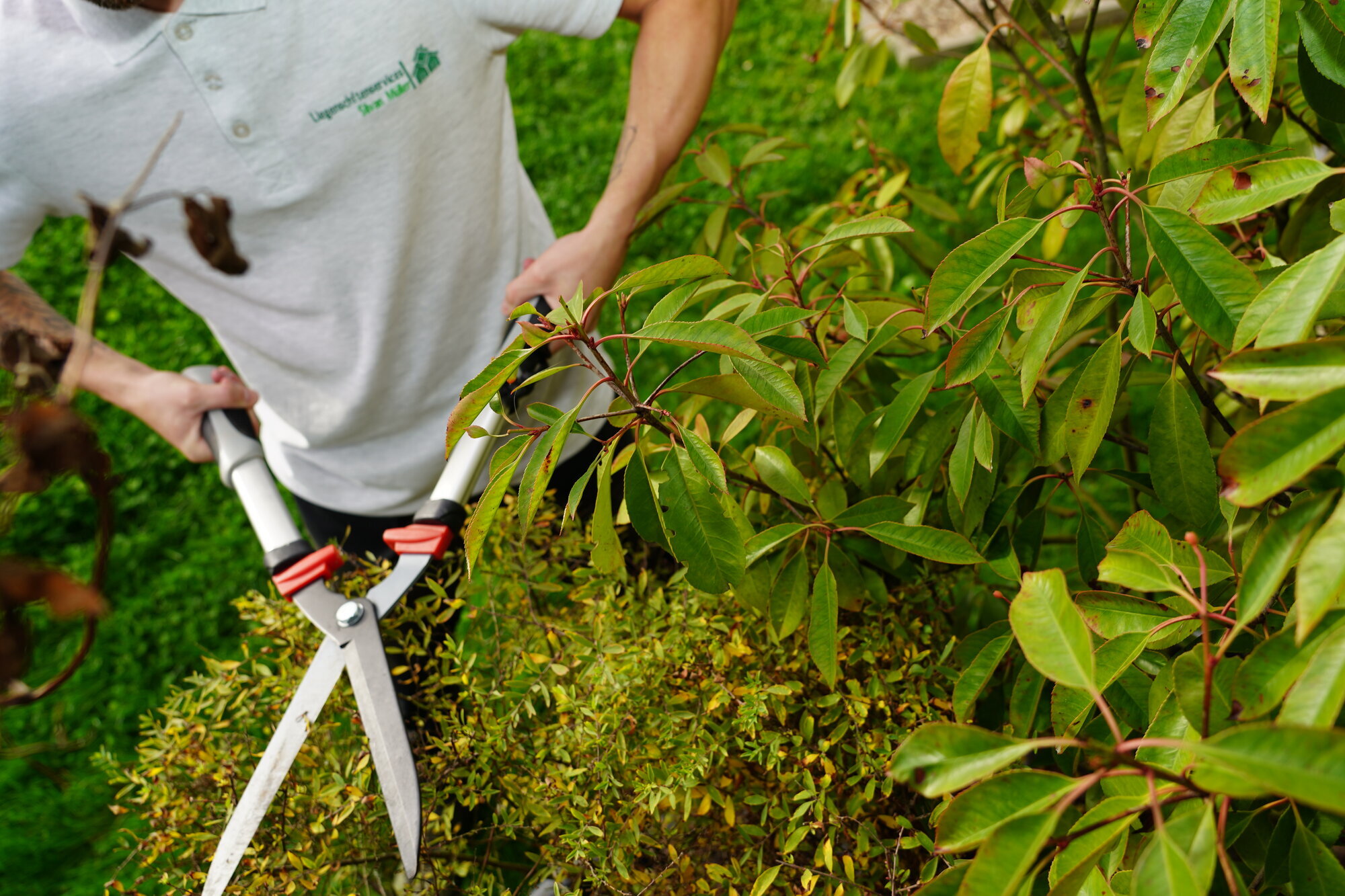 Bilder Liegenschaftenservices Silvan Müller GmbH