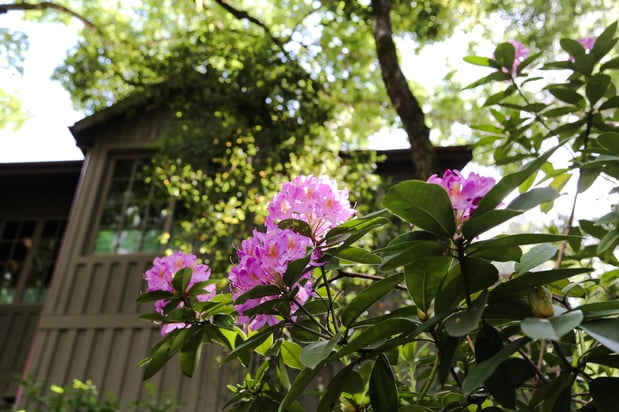 Images Meadowood Napa Valley