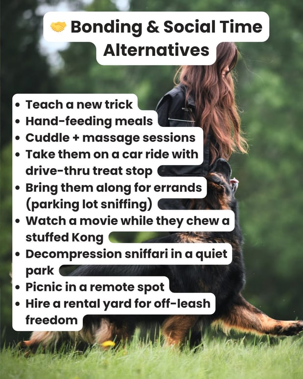 Images South Paw Doggie Daycare & Training Center