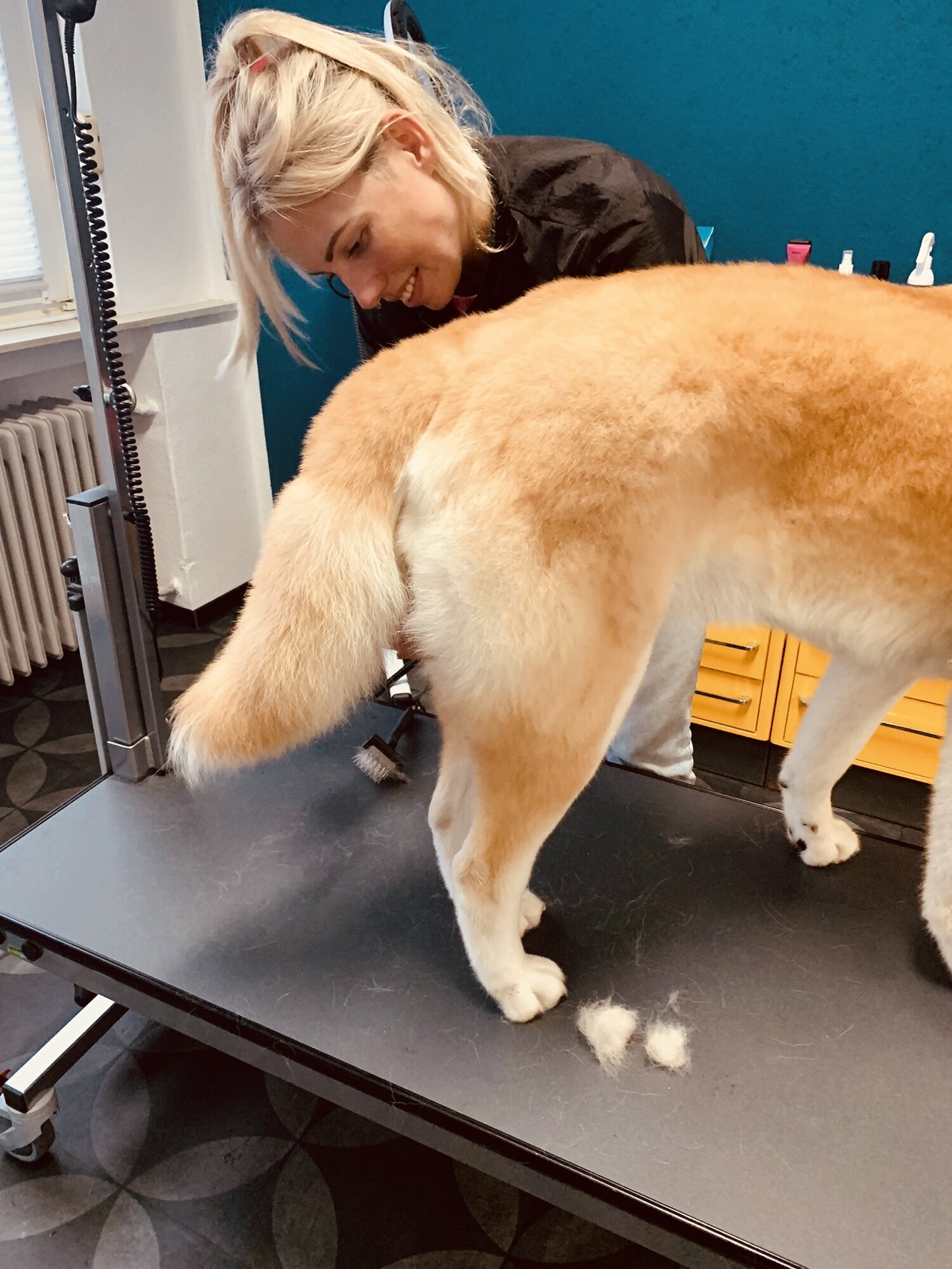 Artgerecht-dogspa, Gereonstraße 10 in Willich