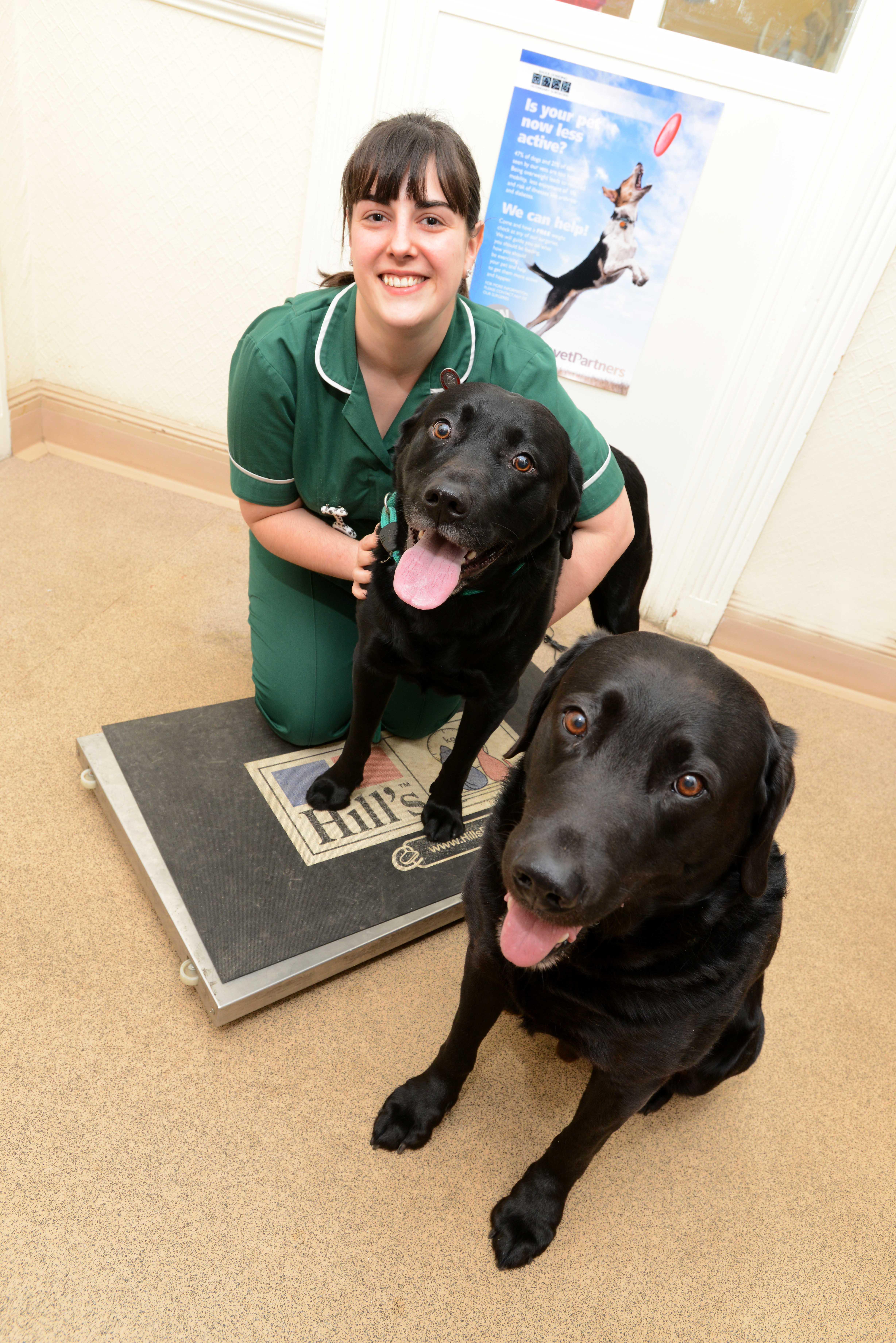 Images Raoul Dowding Vets, Bawtry