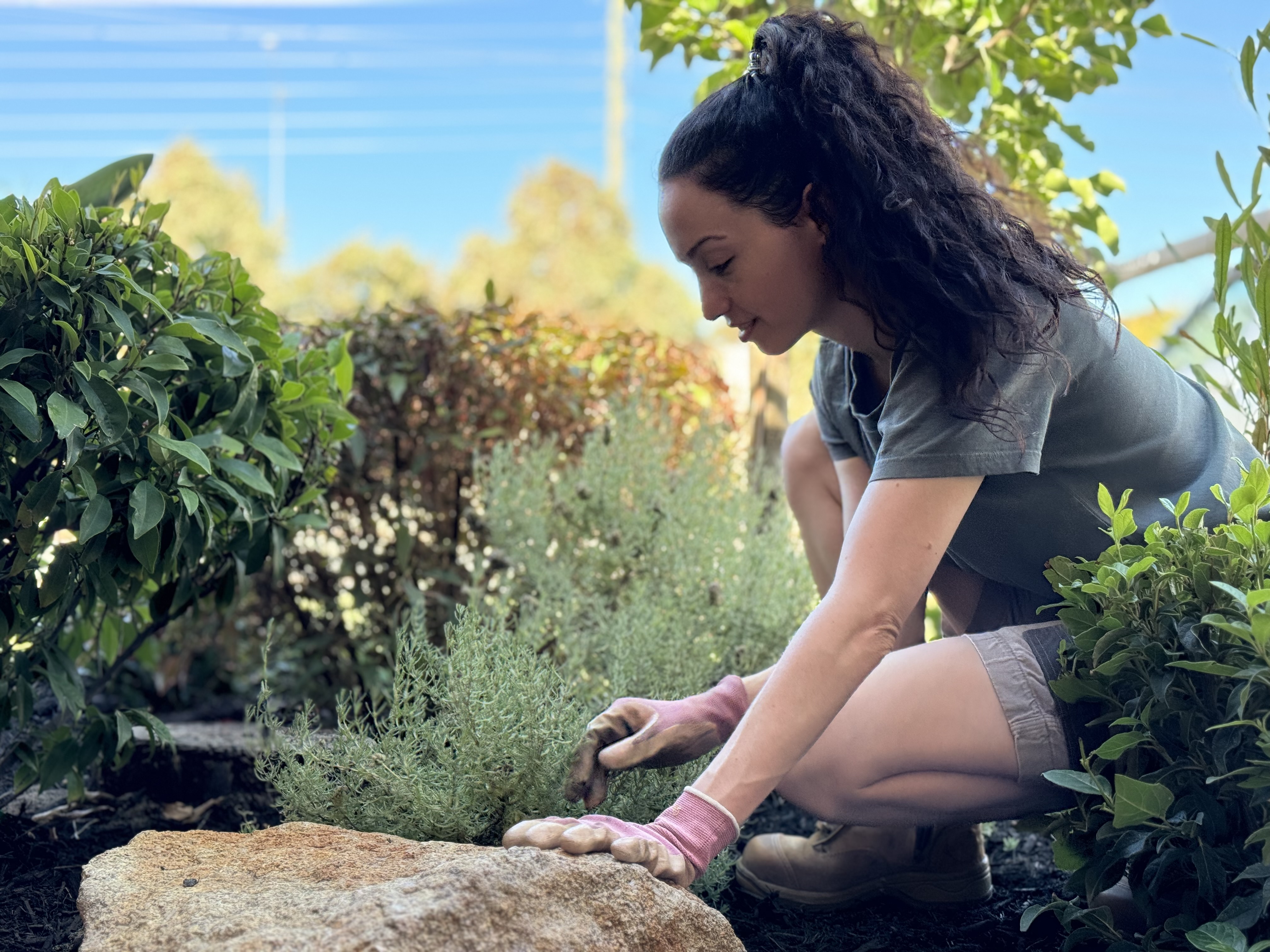 Images Gardens Australia