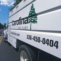 Carolina Tree Care Photo