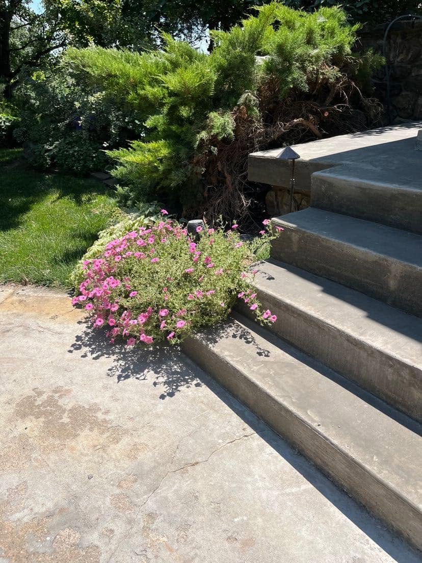 Dewey Construction LLC