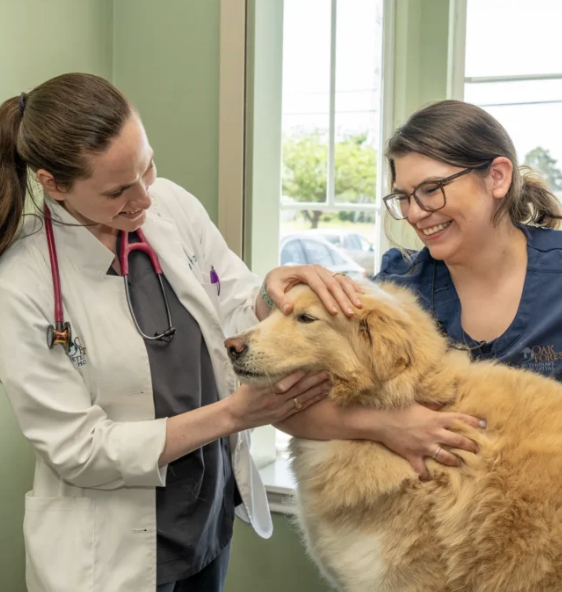 Images Oak Forest Veterinary Hospital