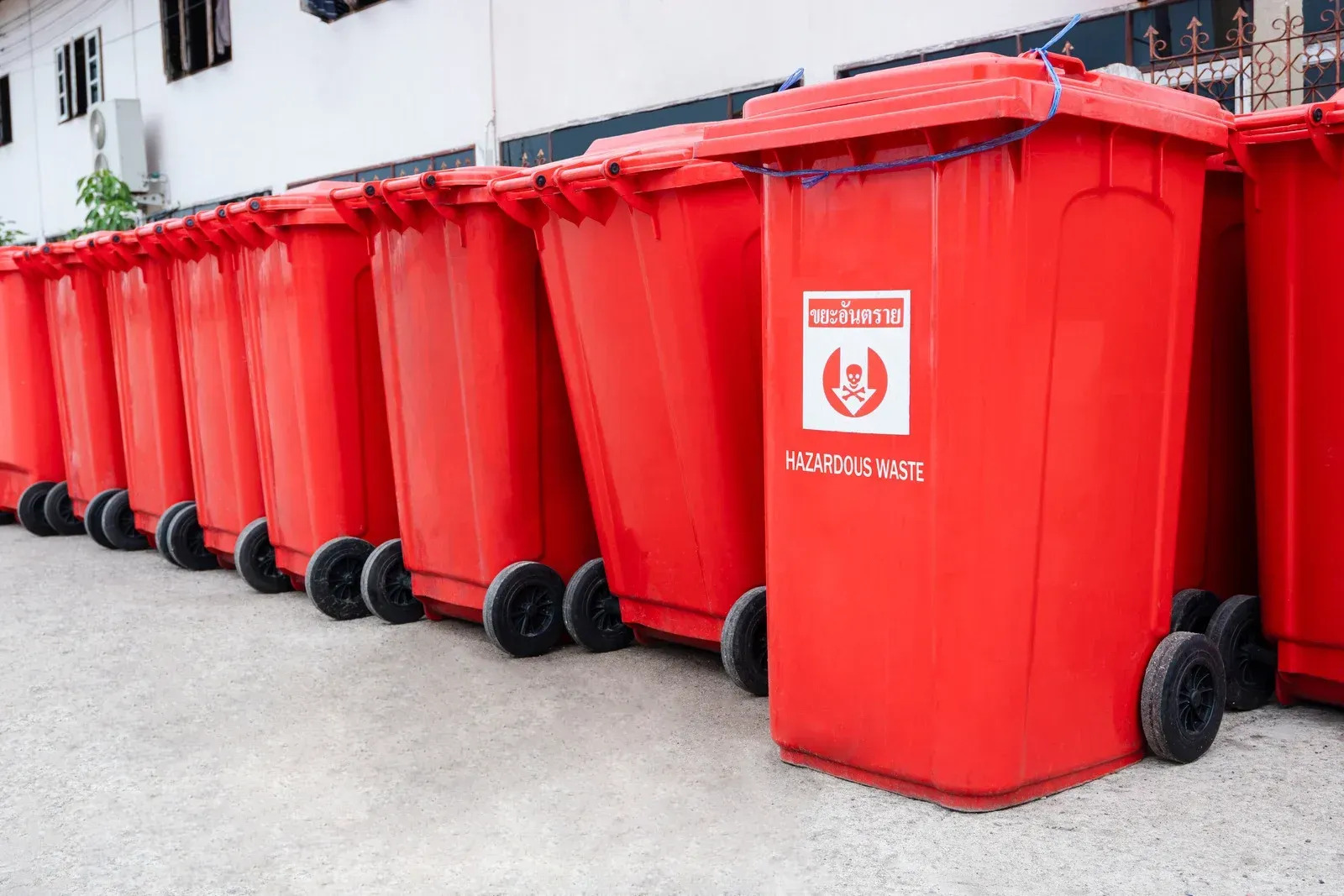 2 Pitties Disposal Image