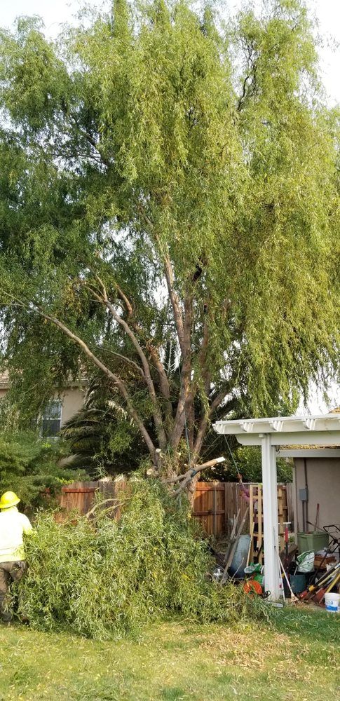 De La Cruz Tree Service