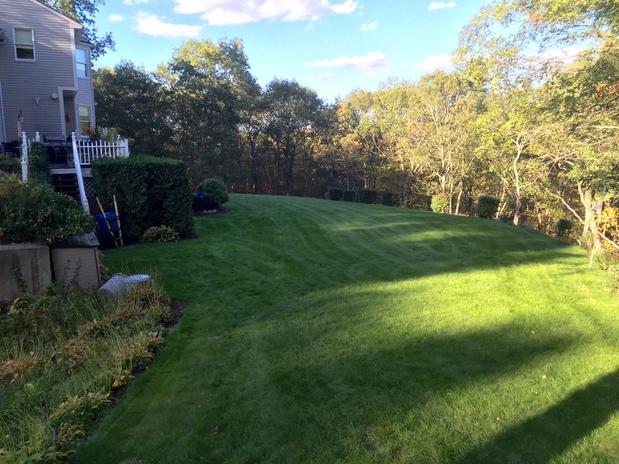 Images 4everGreen Turf Management