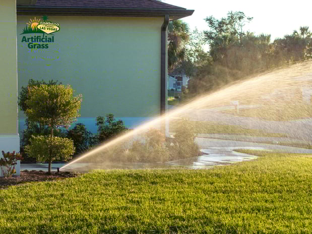 Images Las Vegas Artificial Grass