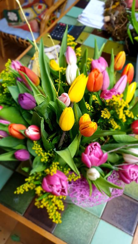 Images Fioreria Angolo Verde Zoldo