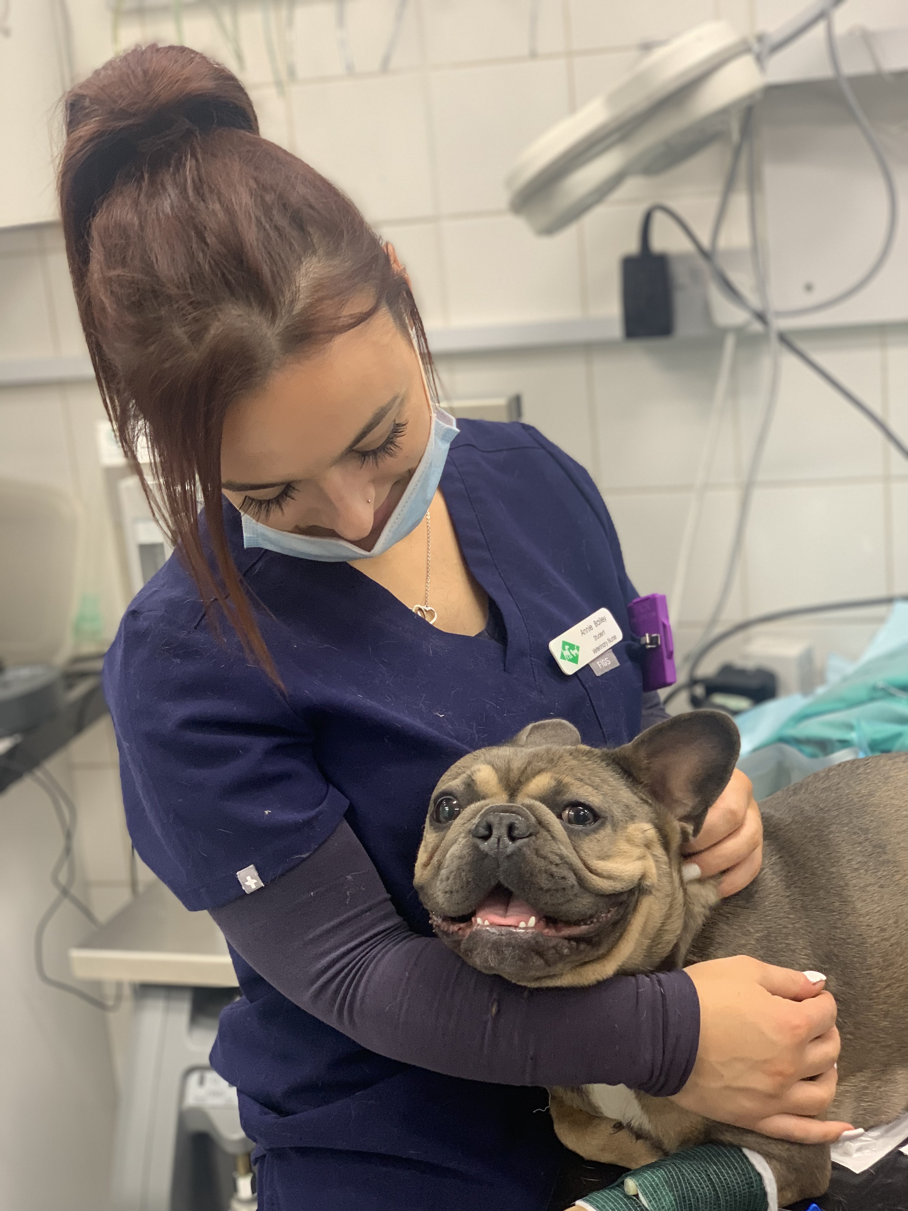 Images Streatham Hill Veterinary Surgery