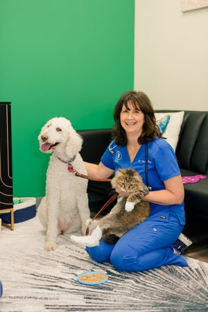 Images PetVet365 Pet Hospital Pittsburgh / South Hills