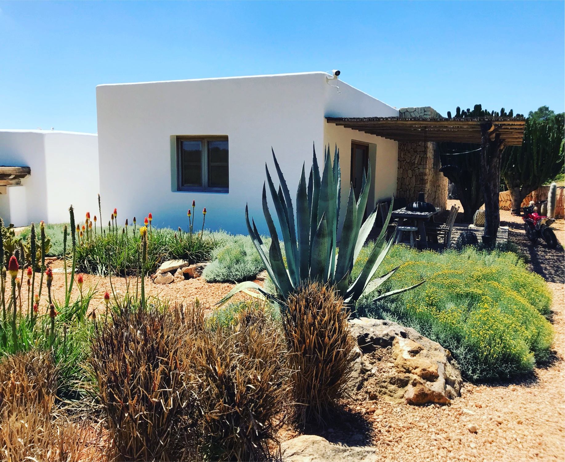 Images ARIANGARDENS. Jardineria y paisajismo profesional en Ibiza