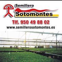 Semillero Sotomontes El Ejido