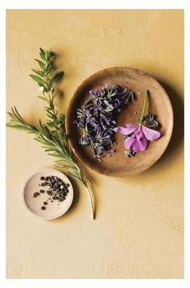 Aveda Lifestyle Salon & Spa, Kurfürstendamm 26a in Berlin