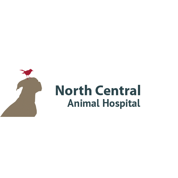 North Central Animal Hospital Logo