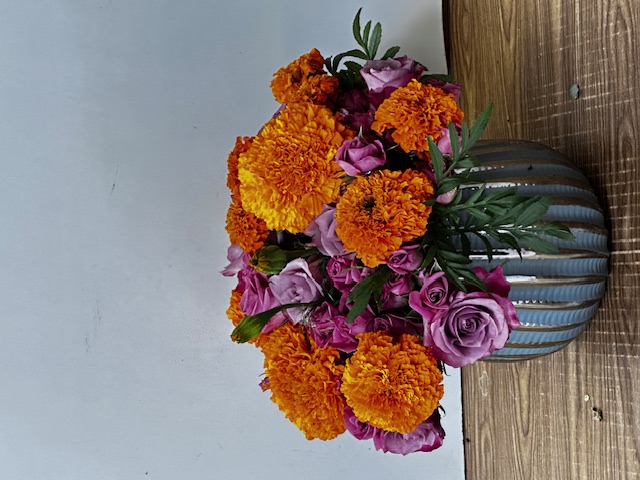 Images Jane's Roses & Flowers