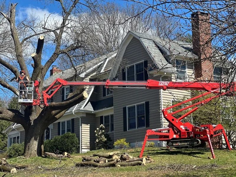 Knock On Wood Tree Service LLC Image