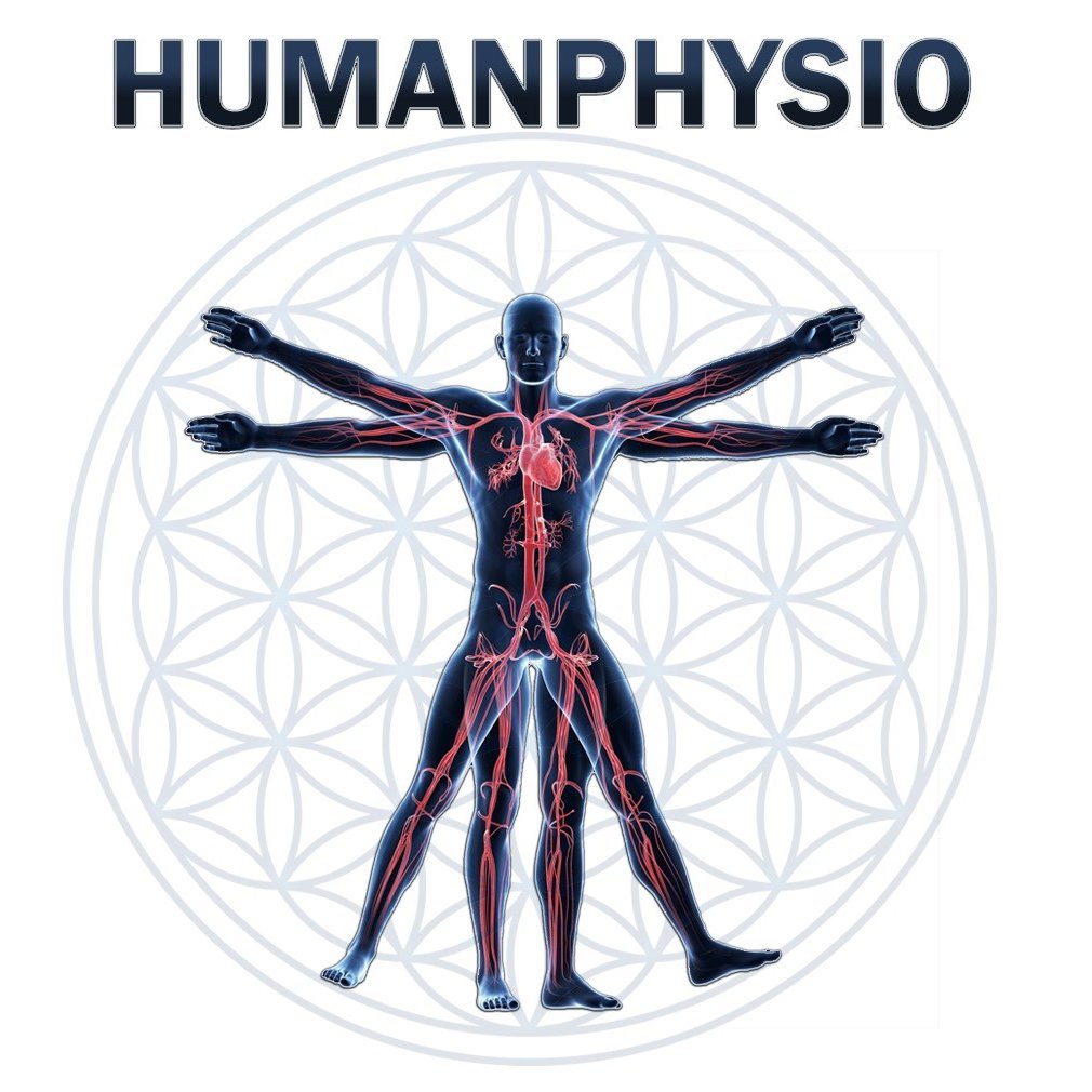 Humanphysio Aarburg Logo