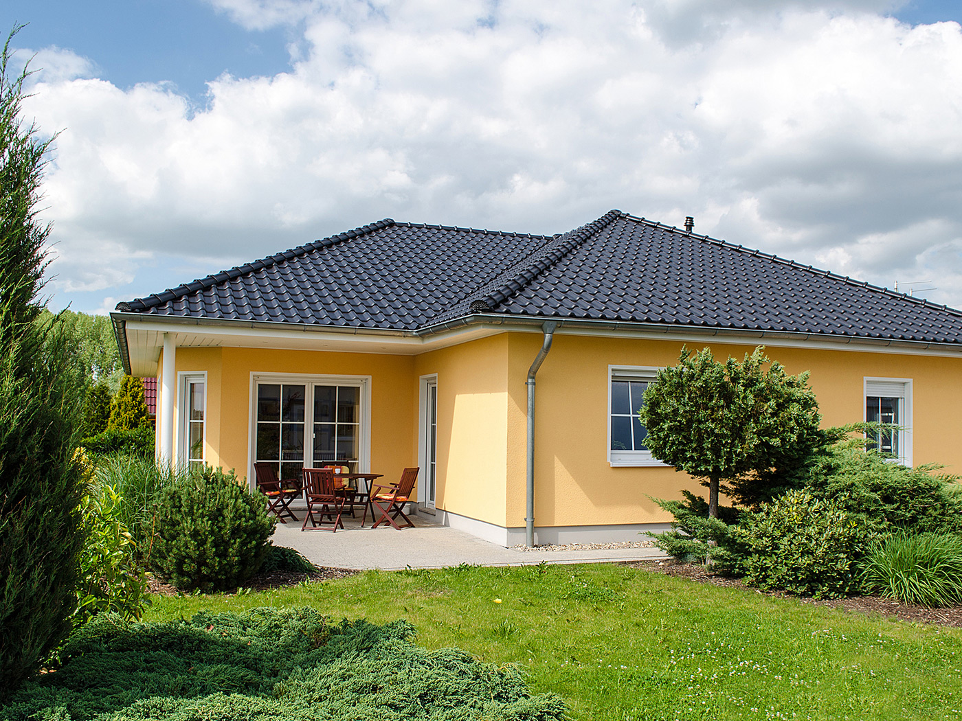 Bilder BaboGroup