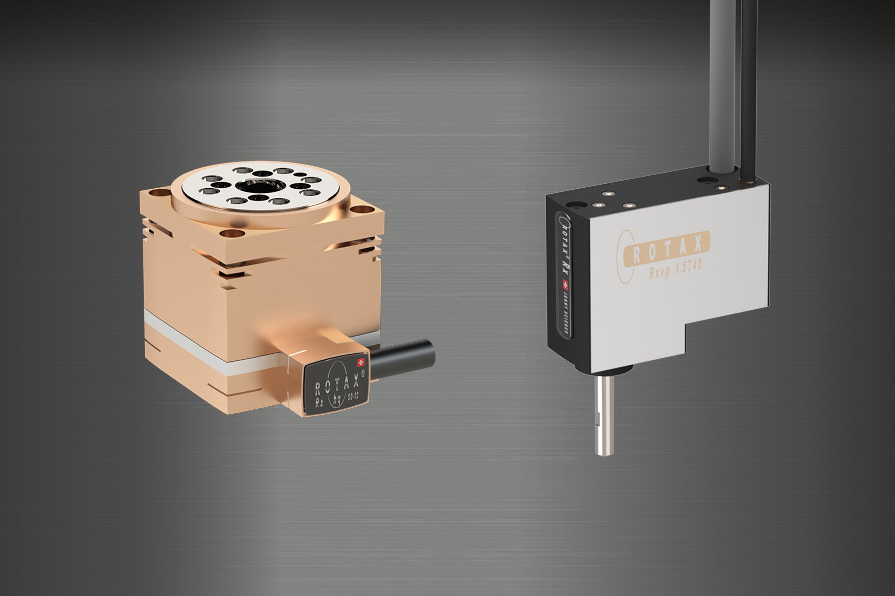 Jenny Science AG, Sandblatte 11 in Rain