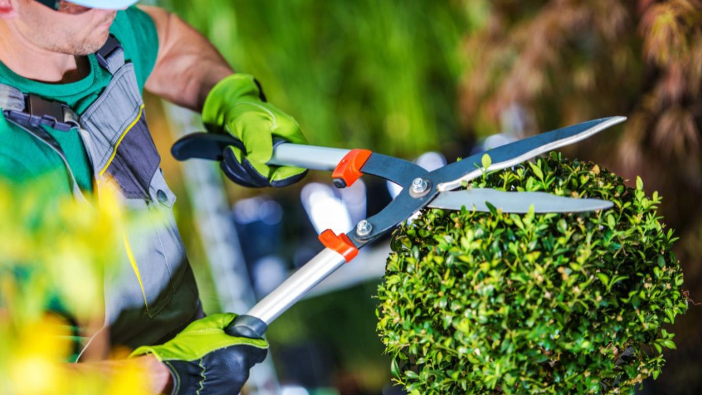 Images Hk-Haveservice ApS