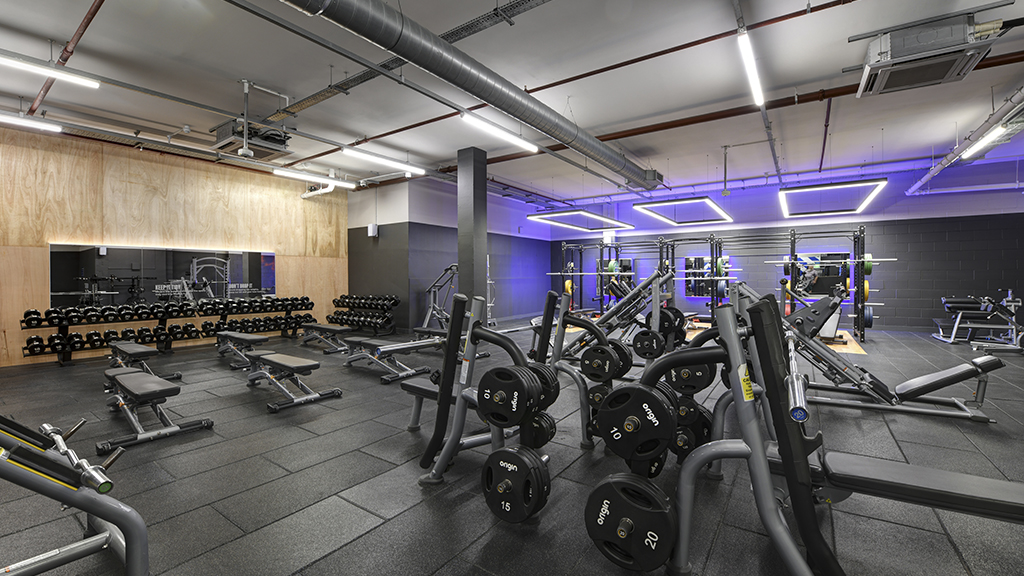 Free Weights Area