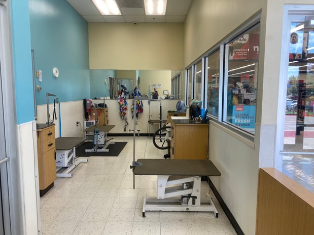 Images Petco Grooming