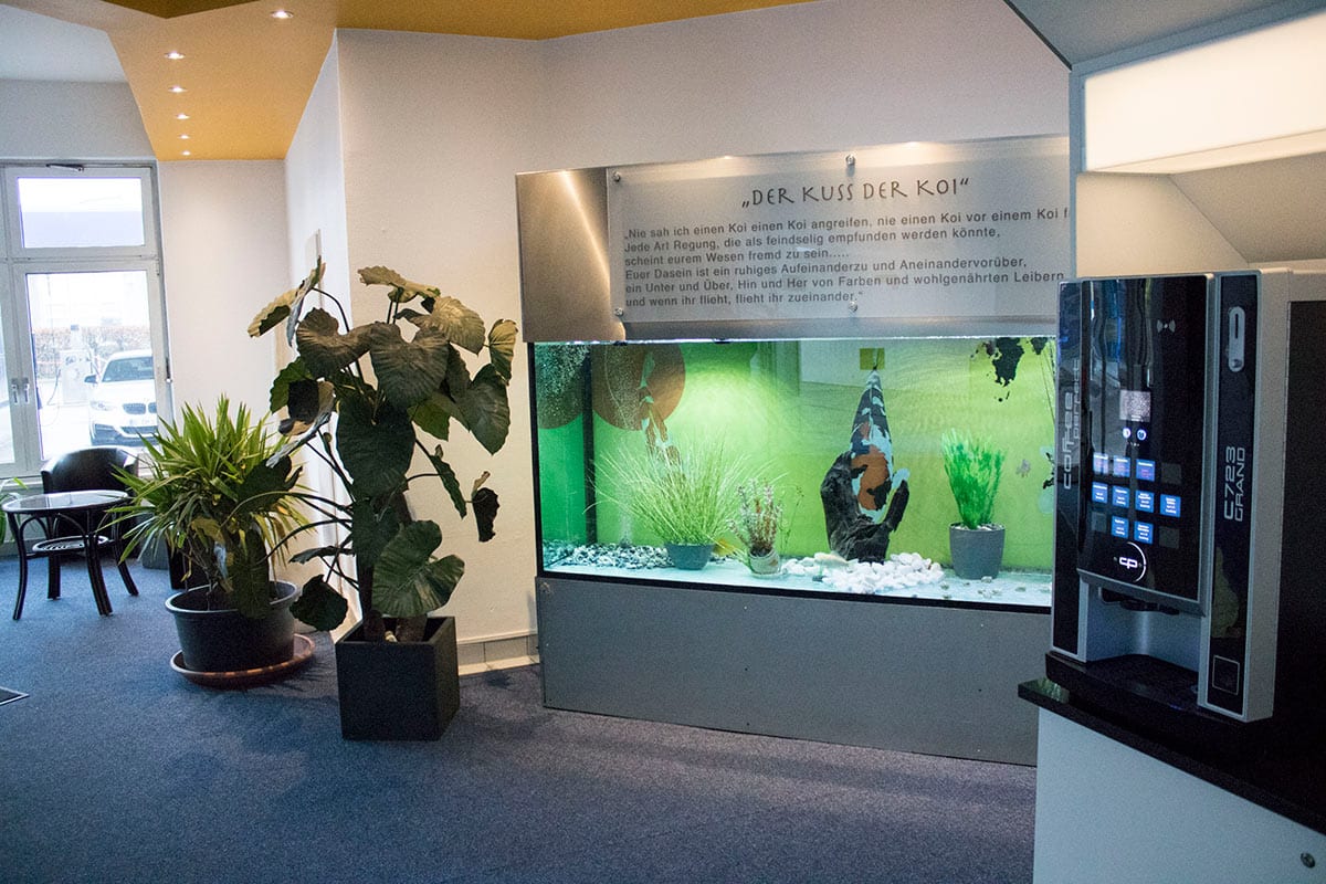 CAR ROYAL Waschstraße, Brunsbütteler Damm 87-89 in Berlin