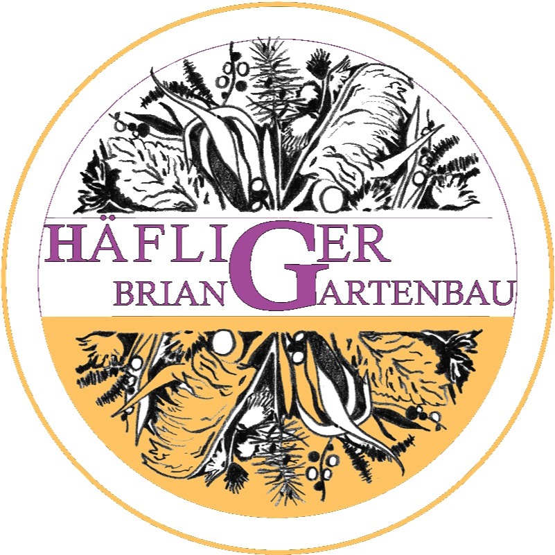 Häfliger Gartenbau dein Landschaftsgärtner in der Region Aarau Logo