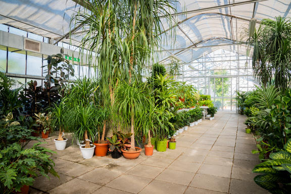 Images Azienda Agricola Florovivaista Toscogarden