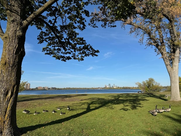 Images Cove at Linden Hills