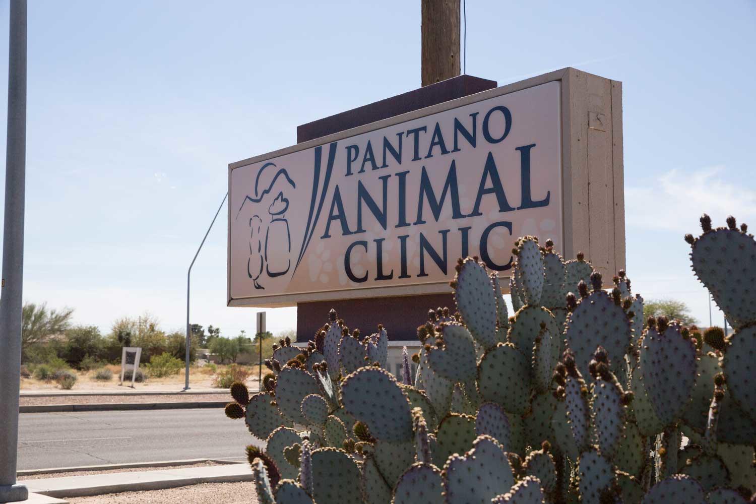 Pantano Animal Clinic, PC Photo