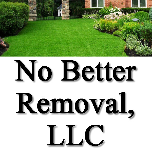 No Better Removal, Llc