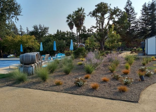 Images Paz Landscape