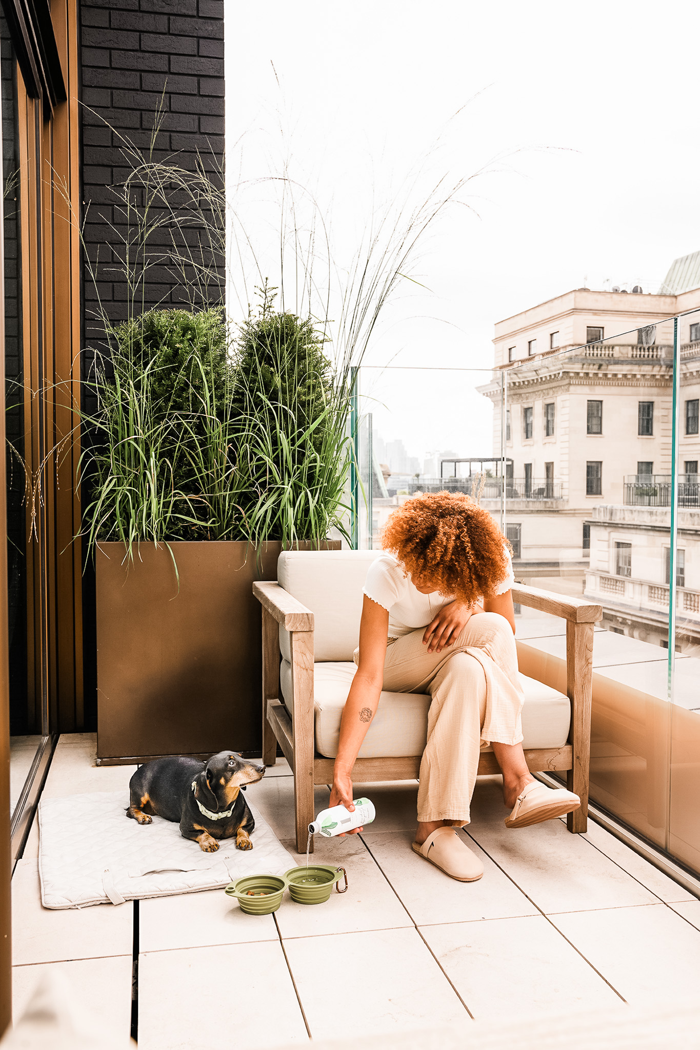 Pet Friendly Hotel