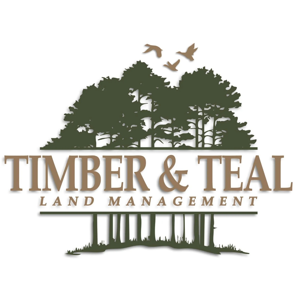 Timber &amp; Teal Land Management Logo