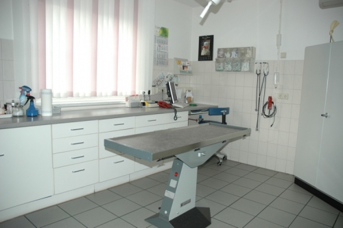 Kleintierzentrum am Schmelzbach Fachpraxis für Kleintiere und Tierphysiotherapie, Am Schmelzbach 41 a in Wilkau-Haßlau