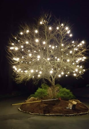 Images Midas Holiday Lighting