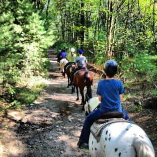 Bobby's Ranch in Westford, MA 01886 | Citysearch