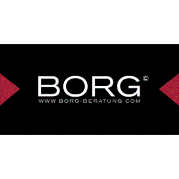 Borg KG & Partner - Logo