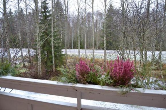 Images Sp-Koti Rovaniemi