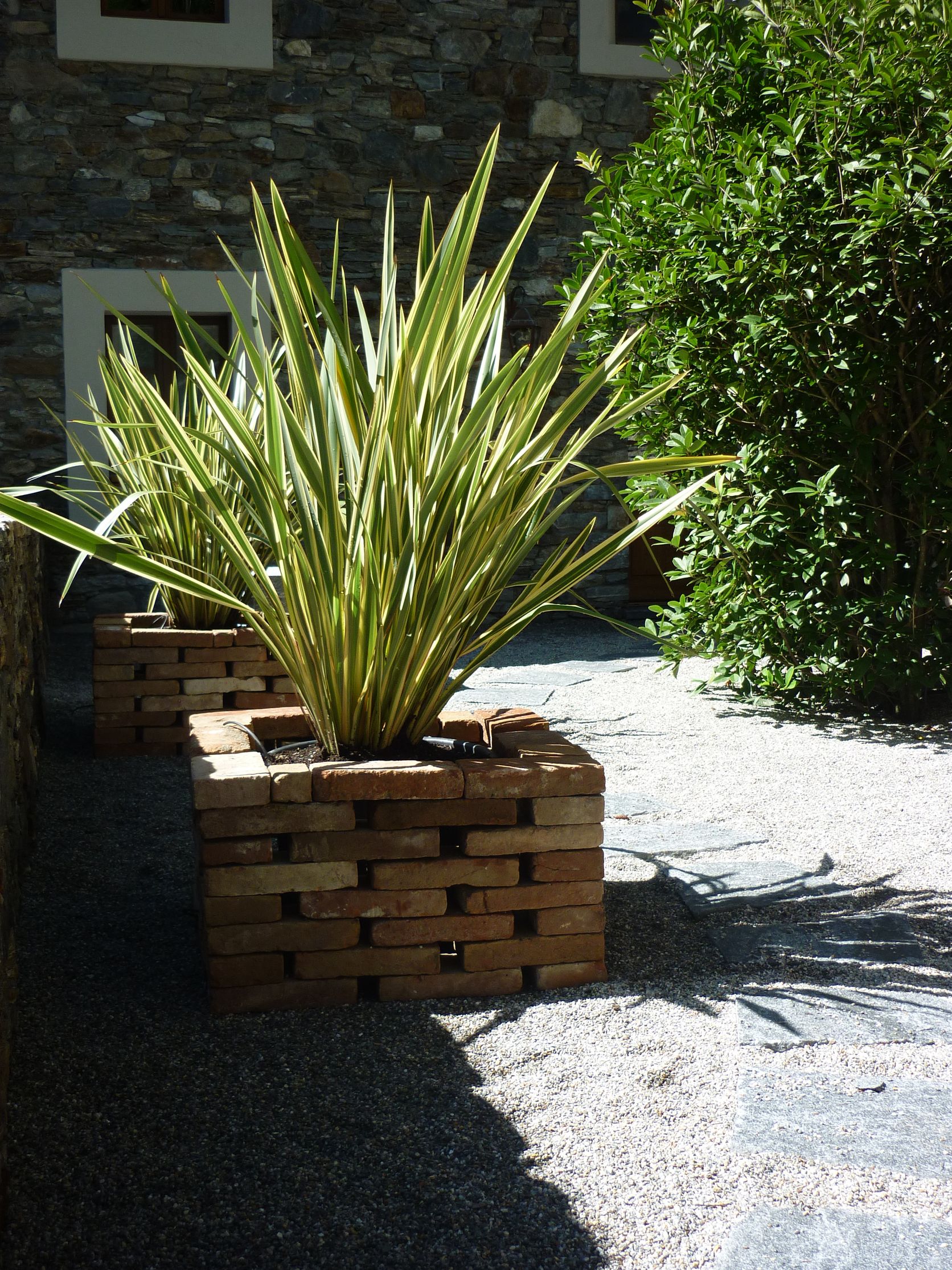 Bilder BaumGärtner - Giardini