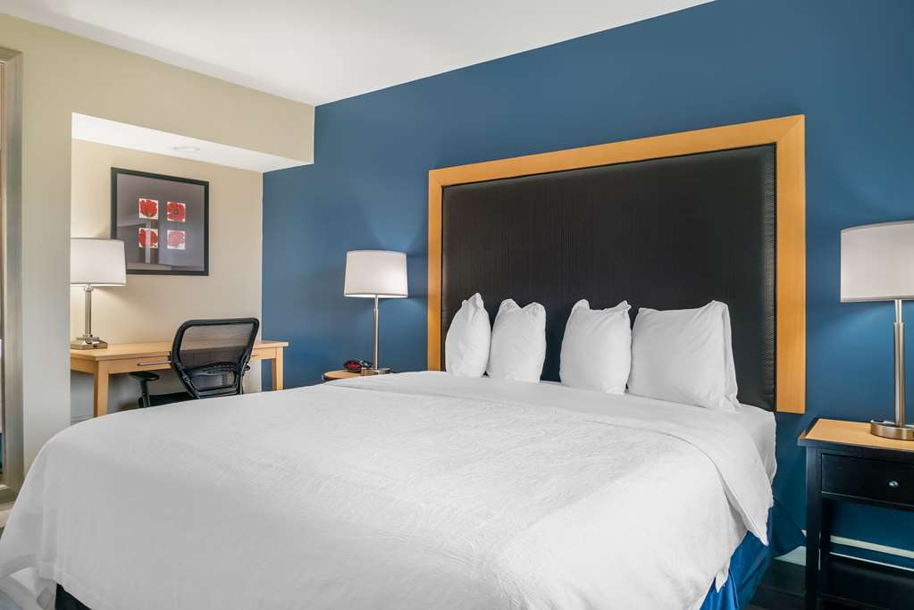 King Bed Room