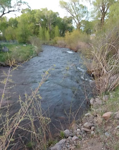 Mogote Meadow Cabins & RV Park Image