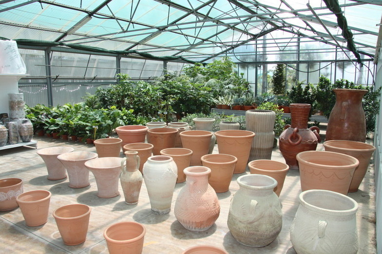 Images Vivai Giuranna