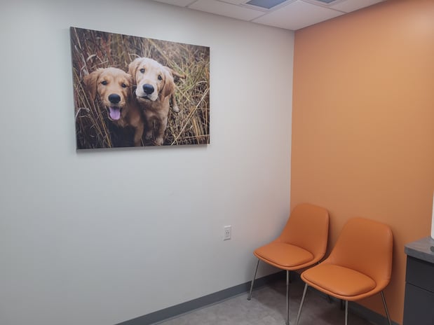 Images VCA Sawmill Animal Hospital