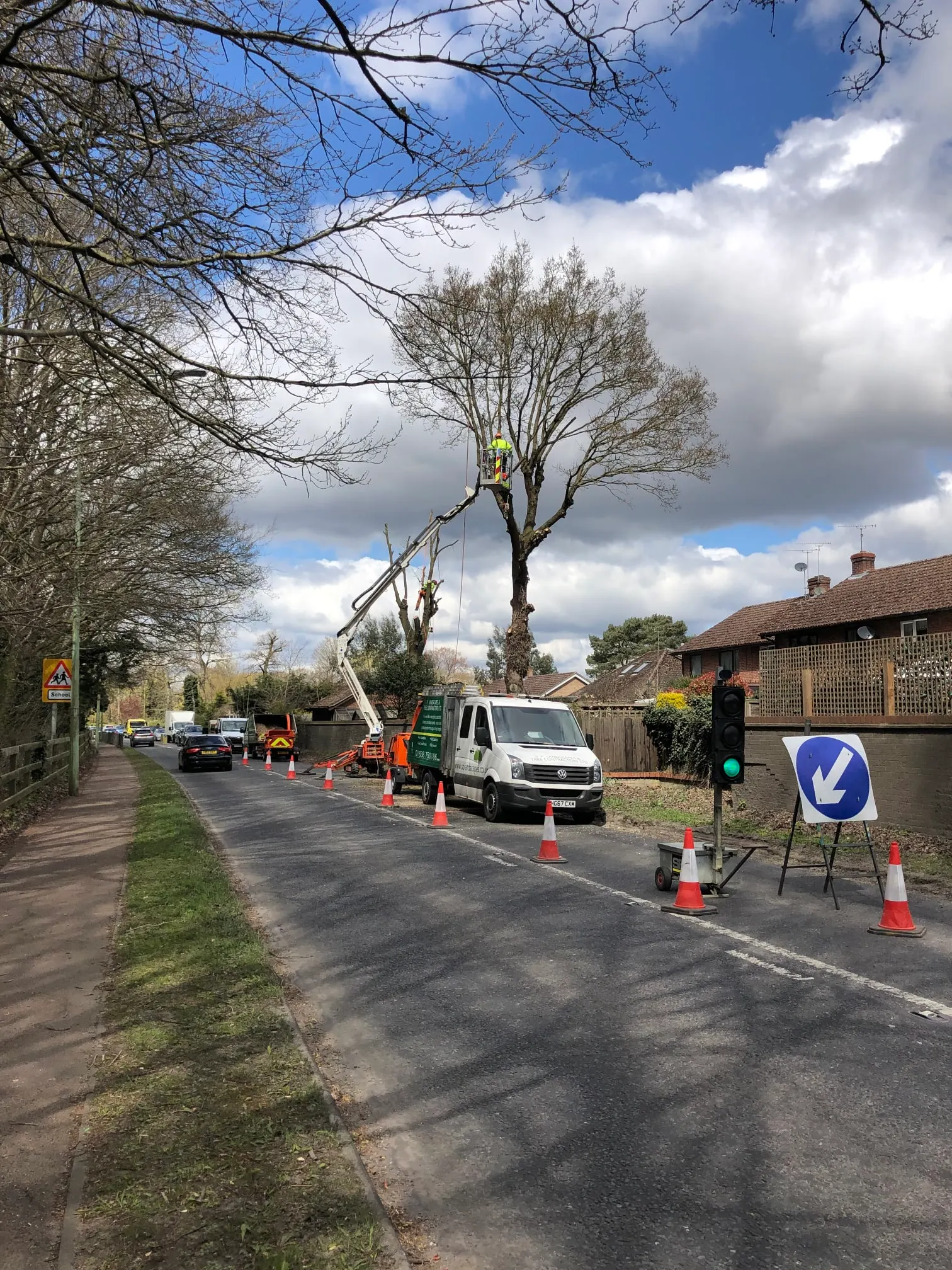 Images S P Landscapes & Tree Contractors